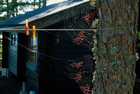 Mended Spiderweb #19 (Laundry Line)